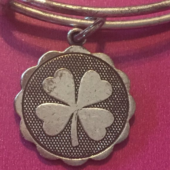 Alex and Ani Charm Bangles - Picture 2 of 4